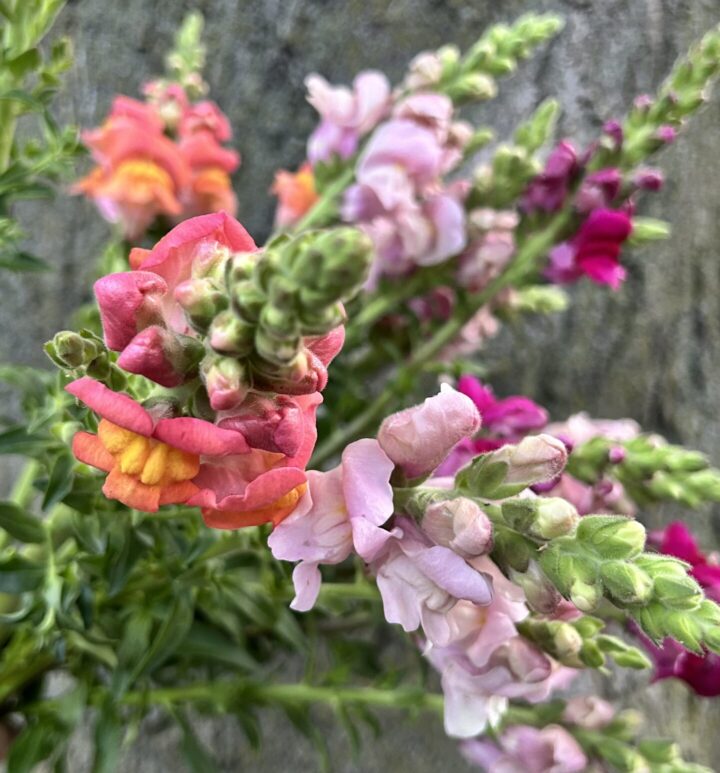Summer Bouquet - Image 3