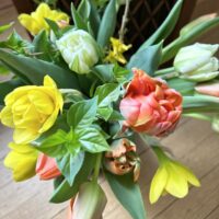 2024 Spring Bouquet Subscription - (PICK UP)