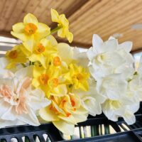 2025 Spring Bouquet Subscription (DELIVERY)